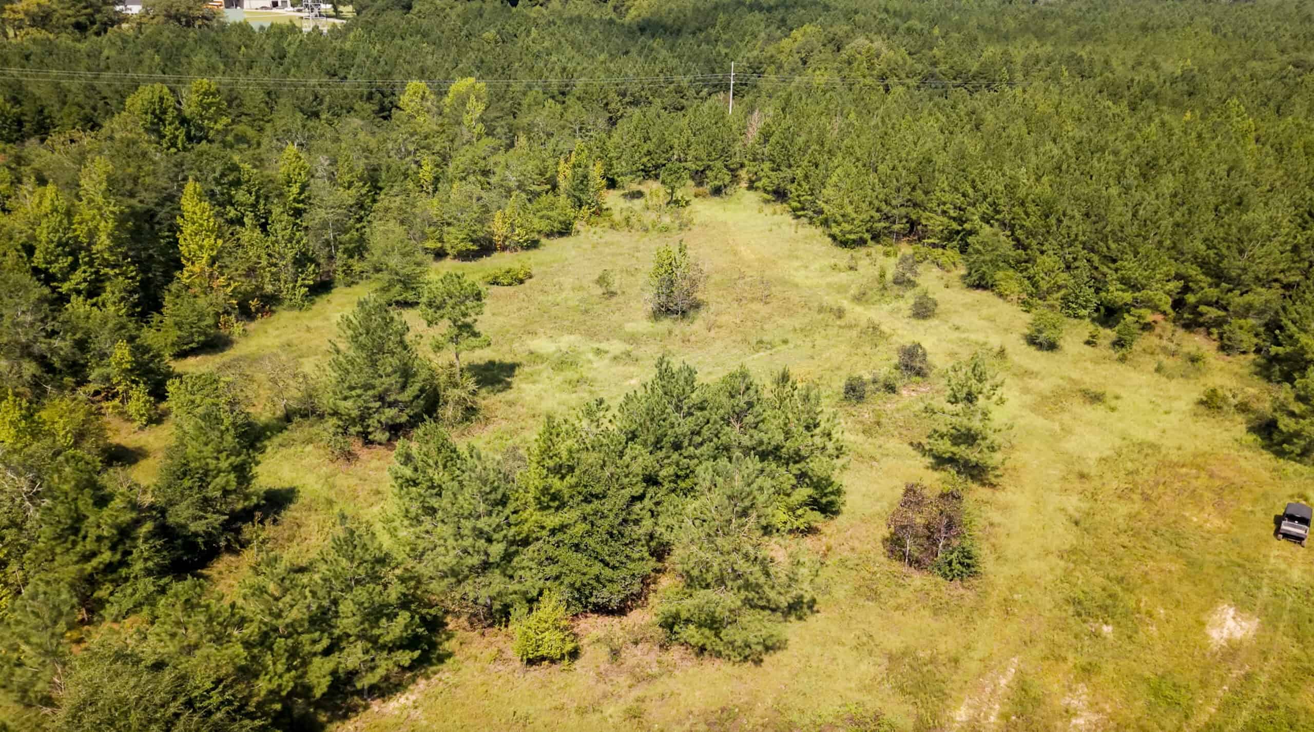 224.56 Acres | Buck Creek 224 | Montezuma, GA